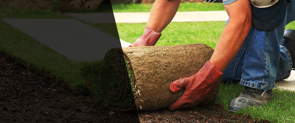 Rockport Landscapers